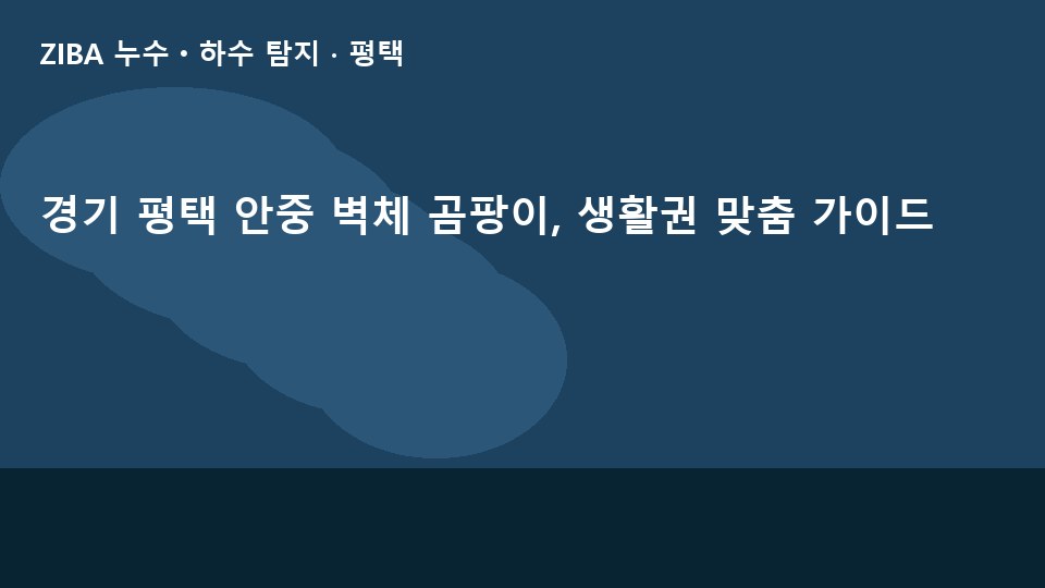 경기 평택 안중 벽체 곰팡이, 생활권 맞춤 가이드