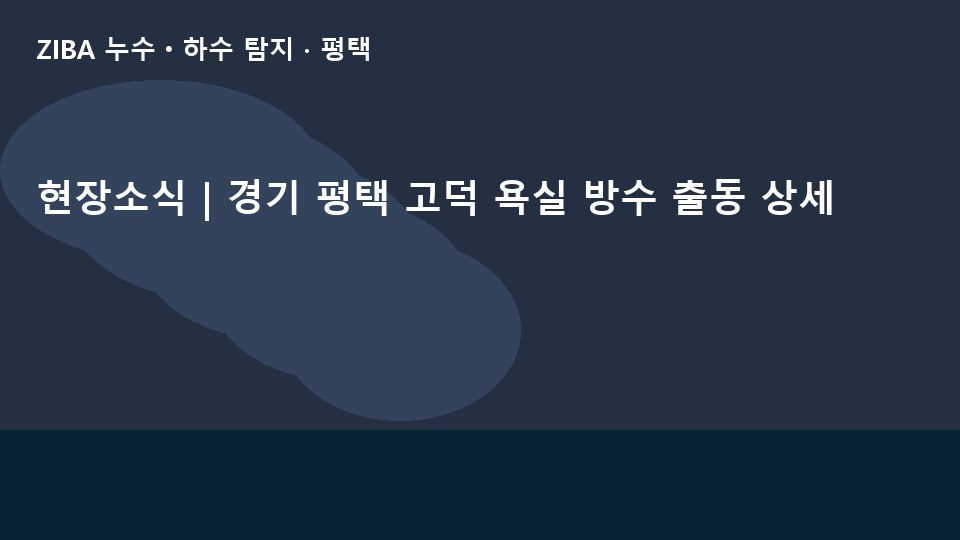 현장소식 | 경기 평택 고덕 욕실 방수 출동 상세