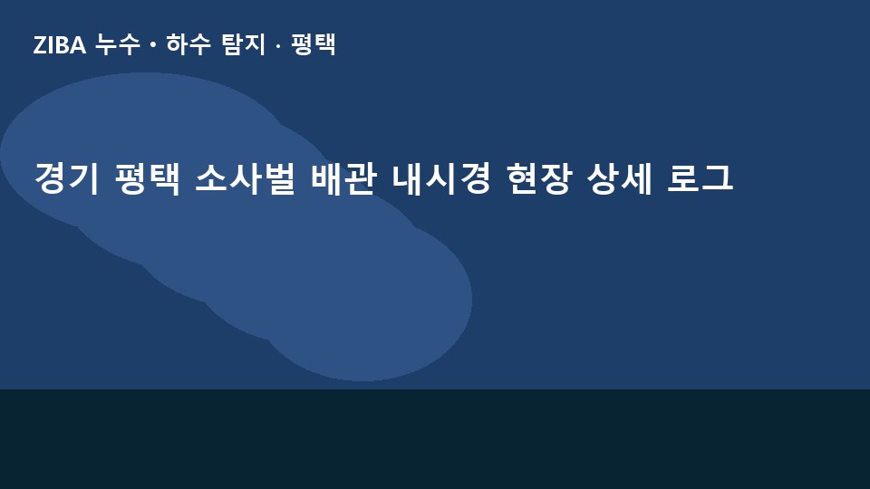 경기 평택 소사벌 배관 내시경 현장 상세 로그