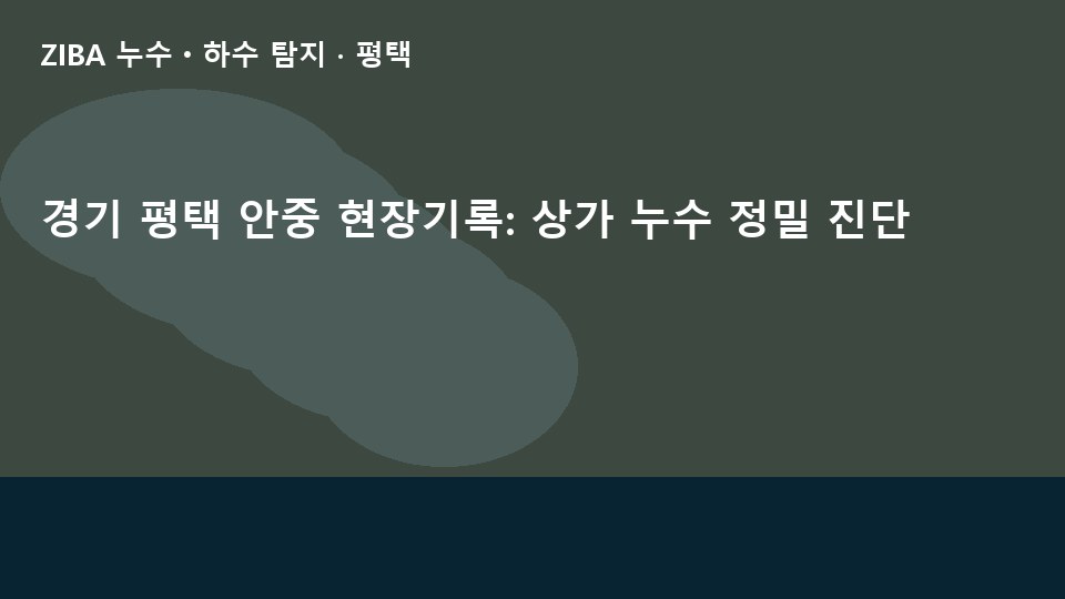 경기 평택 안중 현장기록: 상가 누수 정밀 진단