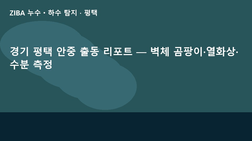 경기 평택 안중 출동 리포트 — 벽체 곰팡이·열화상·수분 측정
