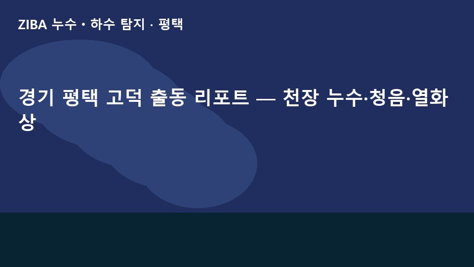 경기 평택 고덕 출동 리포트 — 천장 누수·청음·열화상